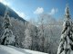Neige Alpes du SUD+Alpes du Nord Janvier 2008