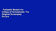 Fantastic Beasts the Crimes of Grindelwald: The Original Screenplay  Review