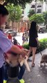 Dắt chó đi dạo không rọ mõm bị bảo vệ nhắc, chàng trai Việt kiều thách thức: 