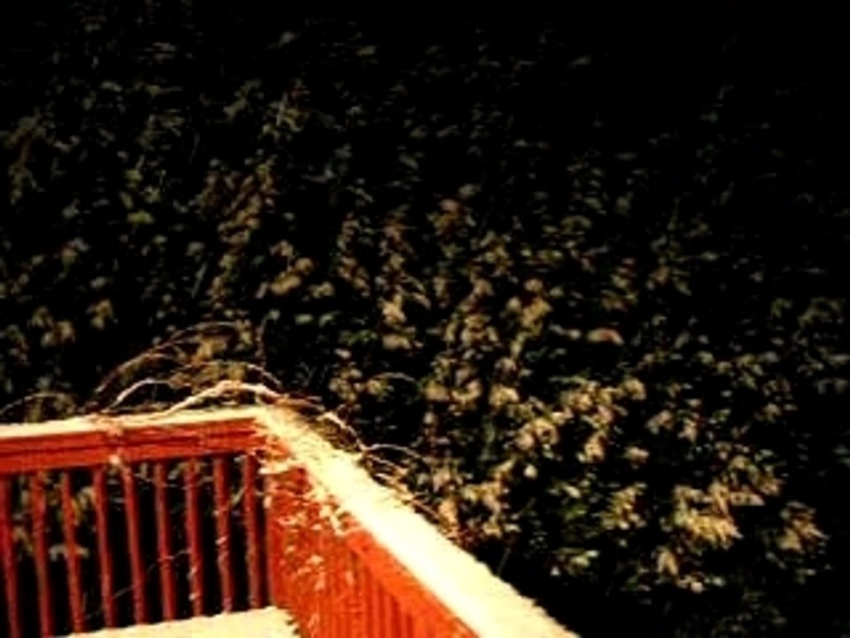 Snow 01 16 2008