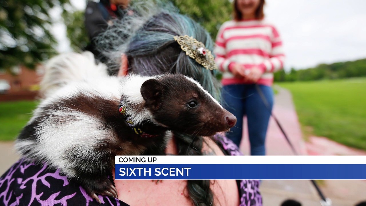 NEWS: 22nd May 2019