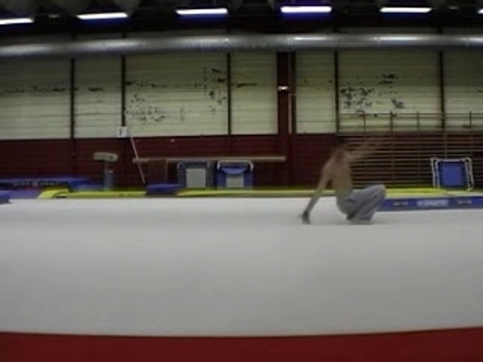 Fac le  11 01 08 (1)