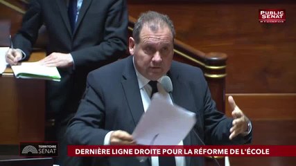 Sophie TaillÃÂ©-Polian - Public SÃÂ©nat lundi 20 mai 2019