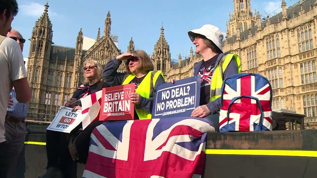 European expatriates in Britain fight Brexit at EU polls