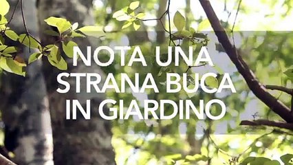 Trova una strana buca in giardino ma si pente di averci guardato dentro