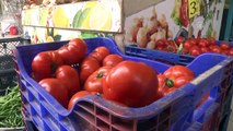 Batı Akdeniz 4 ayda 62 milyon dolarlık domates ihraç etti - ANTALYA