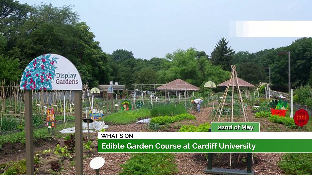 Noel Gallagher's High Flying Birds, Edible Garden, Craig Charles Funk & Sou