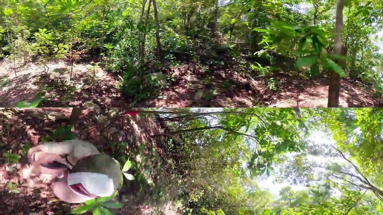 ¡Adéntrate en la selva de Playa Uva! - VÍDEO 360º | Supervivientes