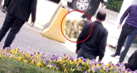 İş Bulamayan Vatandaş, Belediye Binası Önünde Kendini Benzinle Yakarak Yaşamına Son Verdi