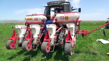 Muş'ta etkili olan yağışlar, çiftçiyi olumsuz etkiledi