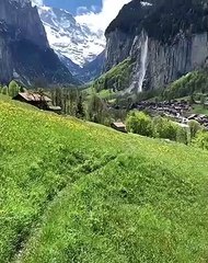 Quand un Berger Blanc Suisse s'amuse dans une magnifique plaine. Trop chou !