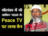 Sri Lankans won't see the hate-monger on TV again: Zakir Naik's Peace TV finally banned