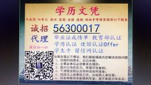 5办德国证书文凭TUM文凭（慕尼黑大学毕业证成绩单）q微56300017申请本科硕士留信认证使馆认证/慕尼黑大学文凭证书