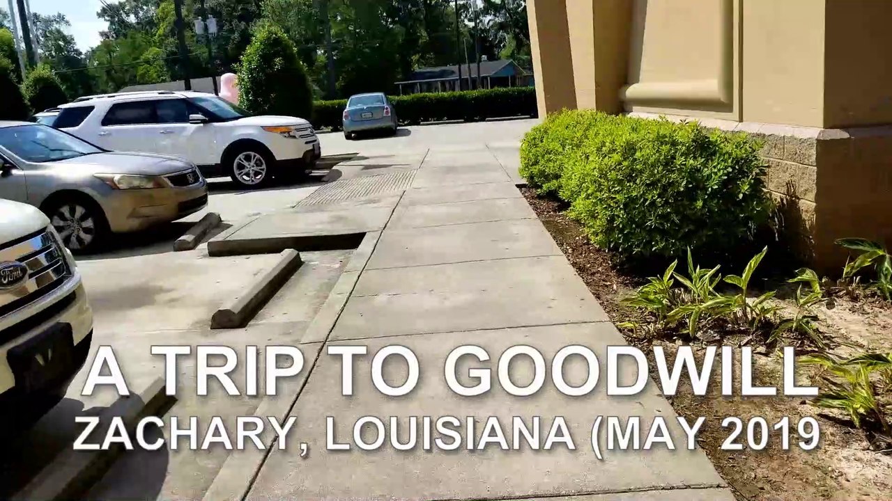 Tripper John Thrifting - Goodwill (May 2019)