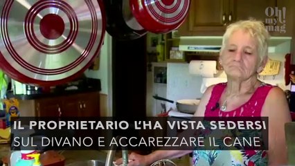 Questa donna è entrata con scasso in una casa per una ragione molto sorprendente