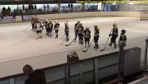 Finale du tournoi de hockey sur glace de Viry-Chatillon des 8 & 9 mai 2019