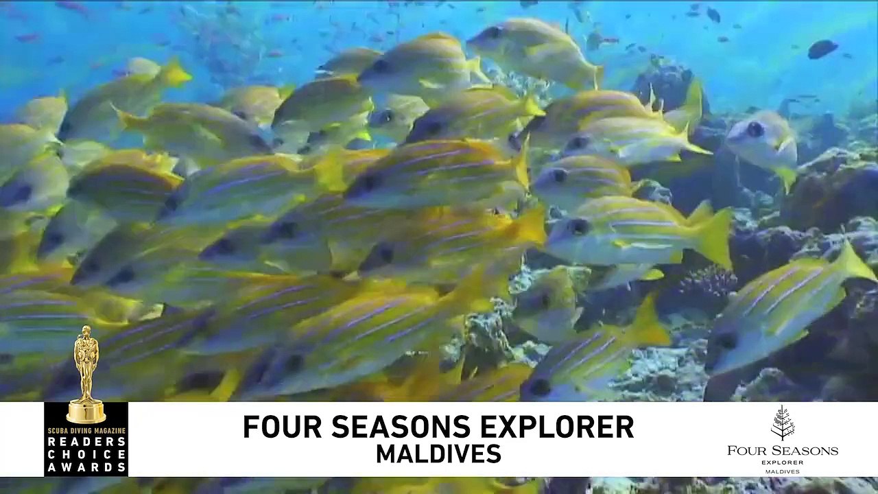 2019 Readers Choice Winner: Four Seasons Explorer