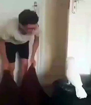 La réaction de cette perruche quand son maître disparaît est à pleurer de rire. Regardez !