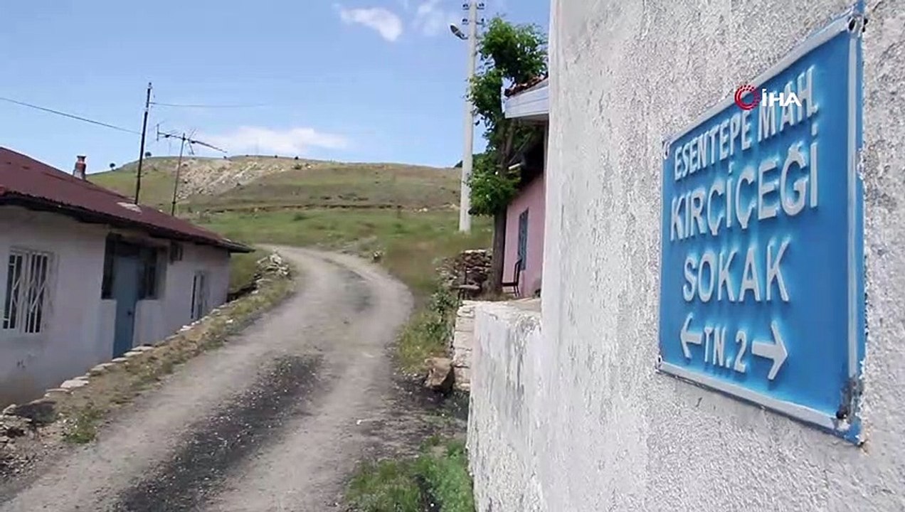 Sokak köpeklerinin, saldırdığı yaşlı kadın hayatını kaybetti