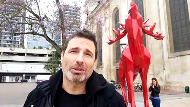 Richard Orlinski présente ses œuvres installées au centre-ville de Nancy