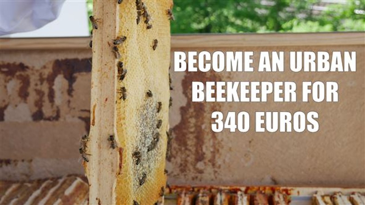 Bee Innovations: Balcony bee boxes in Berlin
