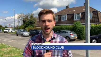 GOODLINES: 21st May 2019