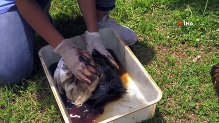 Eriyen asfalt sebebiyle ölümle burun buruna kaldılar