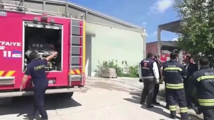 Yanan Atölyedeki Kedileri İtfaiye Kurtardı