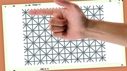 Quanti punti neri vedi in questa immagine?