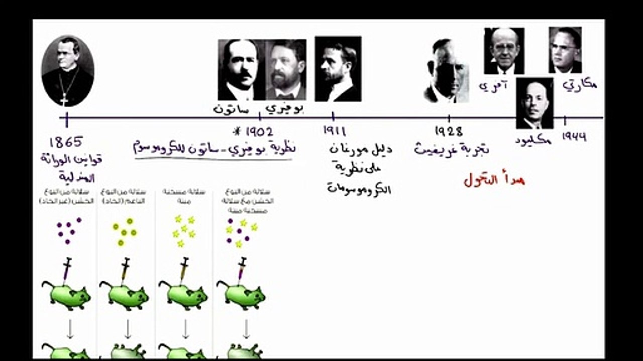 اكتشاف الحمض النووي