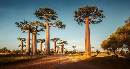 Essential Travel Itinerary: Madagascar