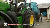 Agriculture : comment la PAC a-t-elle changé la donne dans l'Union européenne ?