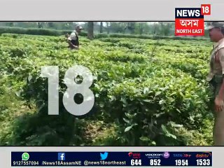 তেল চুৰিৰ লাইভ দৃশ্য বন্দী NEWS18ৰ কেমেৰাত।