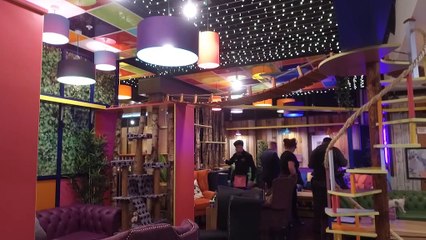 GOODLINES: 21st May 2019