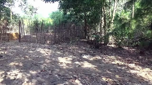 Primitive Life-Make A Bucket and Find Meat!-Primitive Technology used