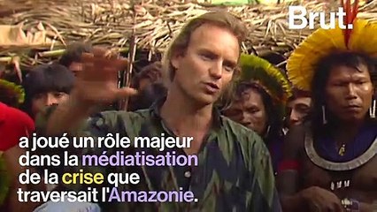 Environnement : "Ça devient difficile de rester optimiste", regrette Sting
