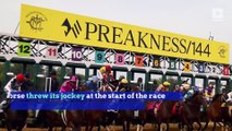 Bodexpress Steals Preakness Spotlight By Running Entire Race Without a Jockey