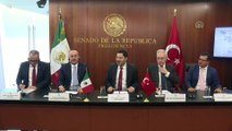 Dışişleri Bakanı Çavuşoğlu, Meksika Cumhuriyet Senatosu Başkanı Batres ile görüştü - MEXICO CITY