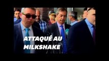 Nigel farage attaq