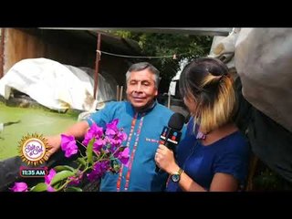 Ana Alicia Alba visitó a 'El Loco de las flores' | Sale el Sol