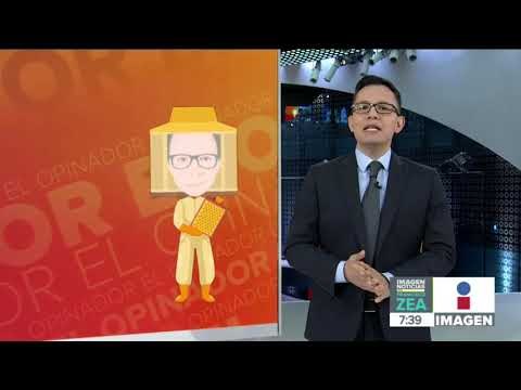 ¿Qué pasaría si desaparecen las abejas? | Noticias con Francisco Zea