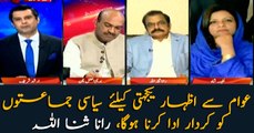Political parties must show solidarity with the people of Pakistan: Rana SanaUllah