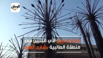 القصة الكاملة  لحريق شارع الهرم
