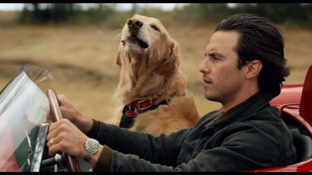 Kevin Costner, Amanda Seyfried In 'The Art of Racing in the Rain' First Trailer