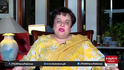 Is Maryam Nawaz playing leading role in PMLN? Shireen Mazari responds