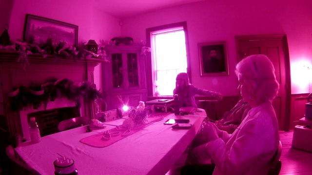 Miller-Kite Museum Noises on the Back Staircase Lunar Paranormal Virginia