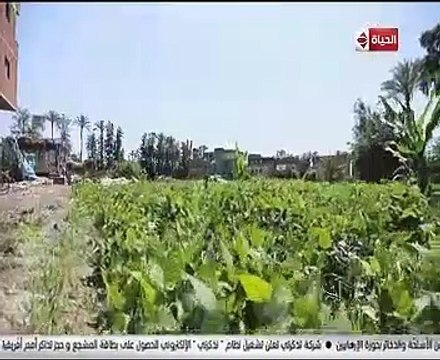 جورج قرداحى يسلم 100 ألف جنيه لسيدة فازت بجائزة اسم من مصر