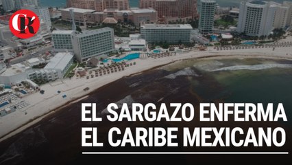 El sargazo enferma el caribe mexicano