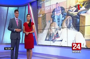 EEUU: familia convive con perros que pesan más de 100 kilos