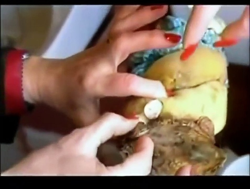 How Clean is Your House - Philippa Loves Lard (2)